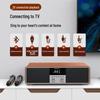 SANSUI All-in-One Home KTV Entertainment System CN Plug (adapter Included)