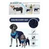 Dog Post Op Suit Comfy Female Male Dogs Spay Neuter Suit Wound Protector, Hind Leg Dog Recovery Surgery Sleeve Pet Medical Shirt