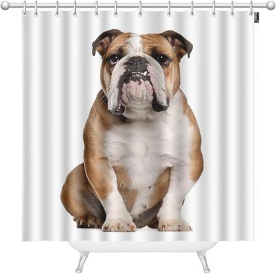 Shower Curtains English Bulldog Old Sitting Against White Background Decorative Bathroom Waterproof Fabric Shower Curtain with