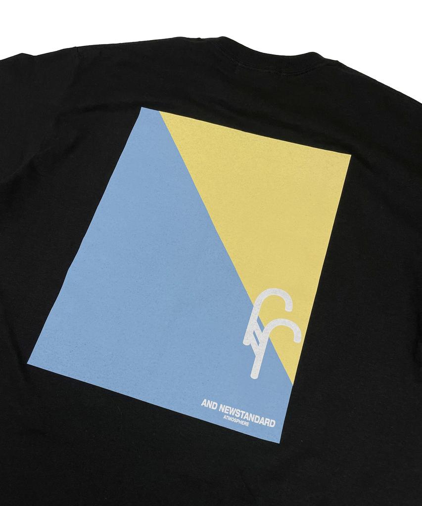 AND NEWSTANDARD No Swimming Swim Team T-Shirt (Black)