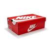 DV7210-001 Nike Dunk Low Rainbow Trout Photon Dust