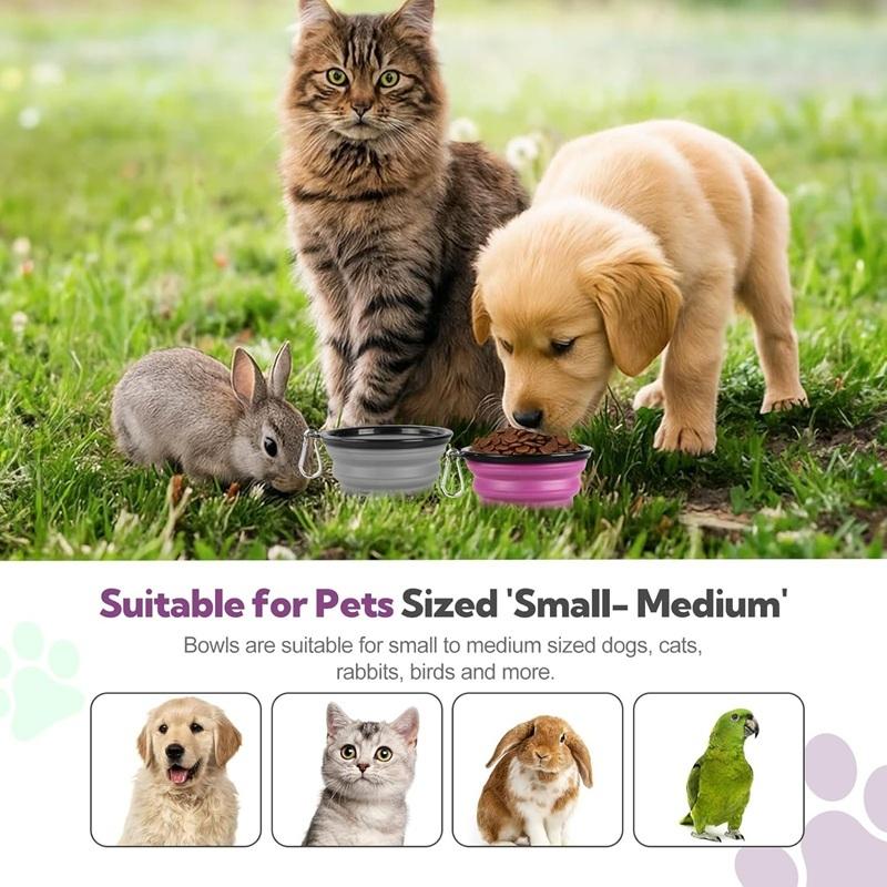 Folding Portable Silicone Dog Feeder Bowl 2 In 1 Pet Dispenser Outdoor Travel Dog with Carabiner Bottle Food Water Container