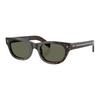 Prada Sophistication and Style Acetate Butterfly Sunglasses Men's Havana