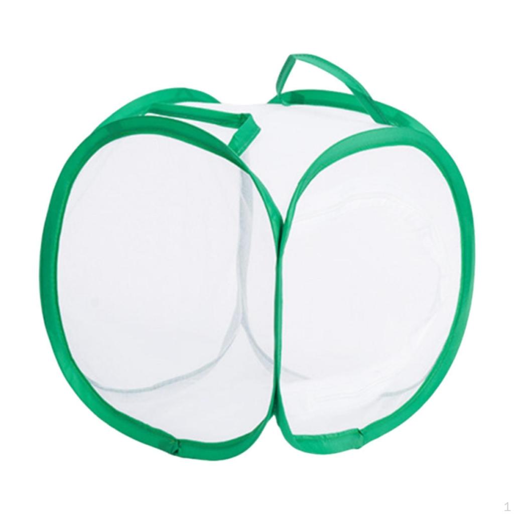 Klatka do łapania motyli Pudełko do uprawy sadzonek do ogrodu zewnętrznego na podwórko