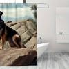 1Pc Large Dog On A Rock Shower Curtain, 70.8X70.8 Inch Durable Polyester Fiber, Easy Clean, With Hooks, Machine Washable, Fabric