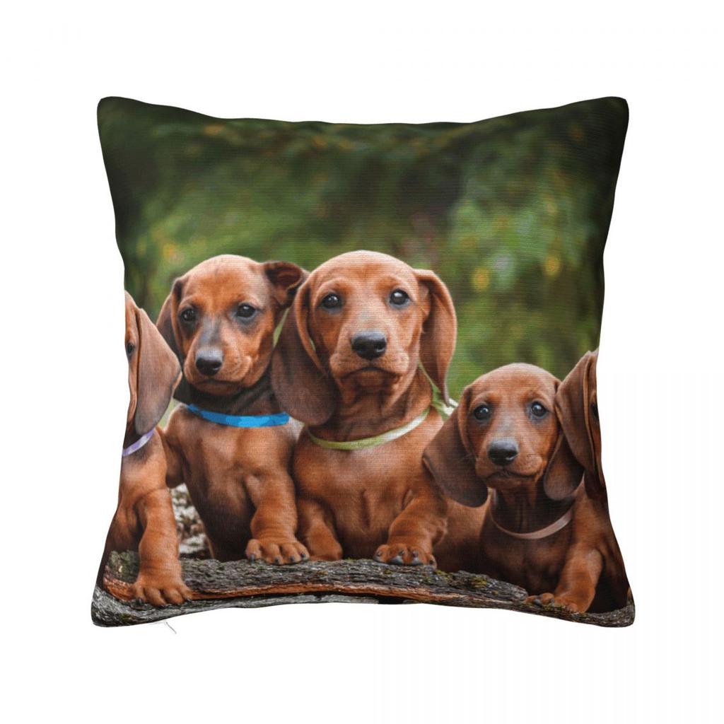 Cute Dachshunds Puppy Pillowcase Polyester Cushion Cover Gift Gift for Animal Dog Lover Throw Pillow Case Cover Seater
