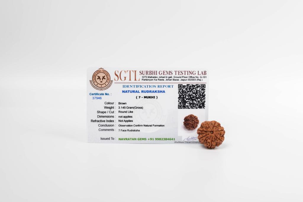 Natürliche 7 Mukhi Rudraksha-Perle – Nepali-Ursprung | Natürliche Perle für Glück & spirituelles Wachstum | Bio & Laborzertifiziert