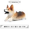 Corgi Dog Model Toy - Creative Solid Pet Ornament