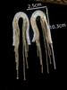 2PC Women's Fashion Trend Zircon Long Tassel Earrings for Outdoor Travel, Carnival, Party, Festival Dressing Gifts