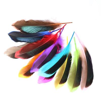 20 PEZZI Piume Naturali di Alta Qualità di Anatra Selvatica 4-6 Pollici / 10-15cm di Lunghezza, Accessori Decorativi per Gioielli in Piume di Fagiano Fai da Te