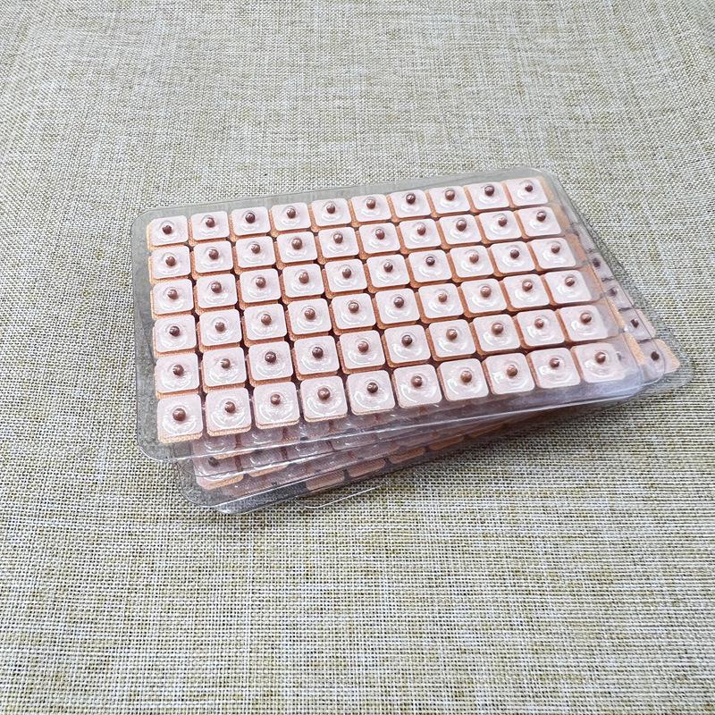 Bianstone Ear Acupressure Patches with Red Granules - 600 Pieces
