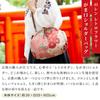 Clasp Bag Flower Crossbody Bag for Japanese Yukata Made In Wedding [Noren] (Shoulder Bag/Retro - Purple) Clothing, Kimono, / Japan, Women's,
