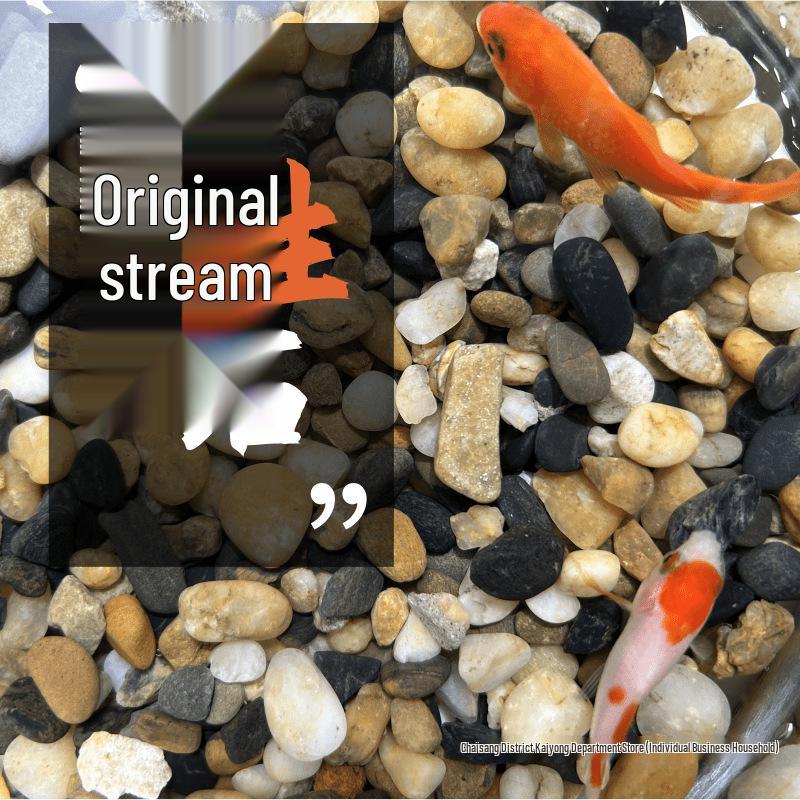 Naturalny piasek i kamienie strumieniowe do akwariów z żółwiami - Podłoże i dekoracja do akwarium