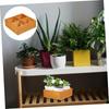 1PC Multifunctional Storage Box Dried Fruit Tray Compartment Planter Wood Veggie Tray 4 Compartment Wood Tray