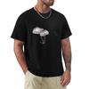 Fungi Fetish   TShirt Unisex t shirts high quality luxury brand TShirt