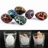 New 10pcs/set Magic Hatching Growing Dinosaur Add Water Grow Egg Animal Breeding Process Educational Teaching Funny Toy For Gift
