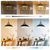 LVWIT Pendant E26 31cm Antique Retro Includes LED Bulb Color Temperature Edison 6W Power Remote 60cm Adjustable Interior Ceiling Cool Warm Night Retro