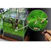 Aquarium Decor Stainless Steel Wire Mesh Pad Water Grass Moss Plants Fixed Net Fish Tank Accessories