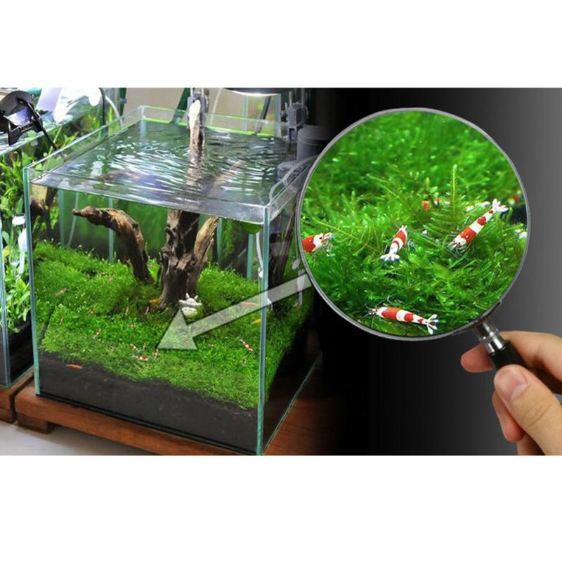 Aquarium Decor Stainless Steel Wire Mesh Pad Water Grass Moss Plants Fixed Net Fish Tank Accessories