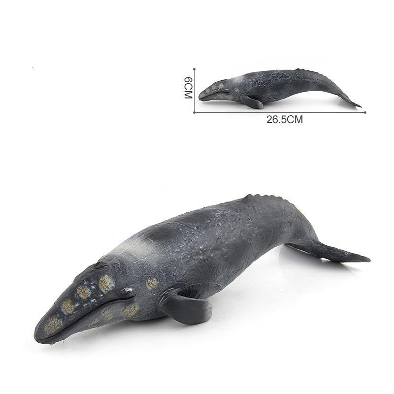 [Nekogamiyama] Gray Whale, Marine Life Figure, Model, Miniature, Ornament, Interior Decor, Collector's Model