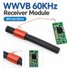 1Pcs With Antenna Radio Clock Receiver Module  for Timing Circuit Design
