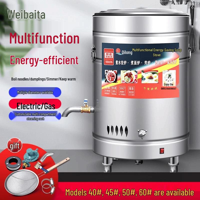 Commercial Multi-functional Noodle Cooker