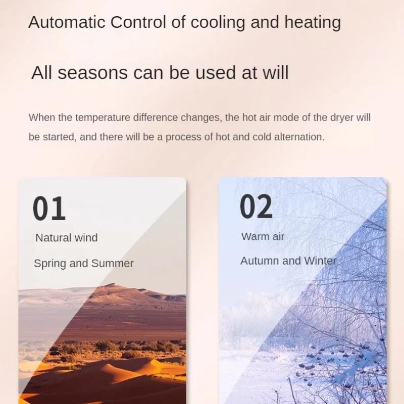 Dryer Household Negative Ion Body Dryer Hotel Bathroom Dryer Cold and Warm Dual-purpose Body Dryer