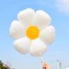 Korean Style Smiley Daisy Flower Foil Balloon for Baby & Kids' Birthday Party