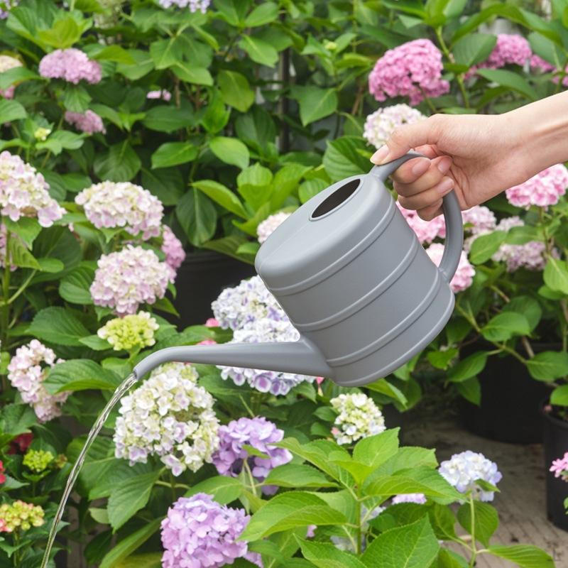 2L Watering Can with Ergonomic Handle, Compact, Practical, , A Long Spout, Ideal for