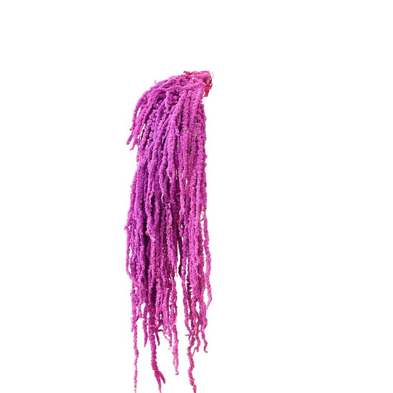 Hanging Rice Dried Preserved Flowers Wedding Decor 'Lover's Tears'