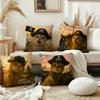 Funny Pirate Cute Cat Cushion Cover Pillow Cover Decoration Room Home Sofa Living Office Car Nordic Simplicity