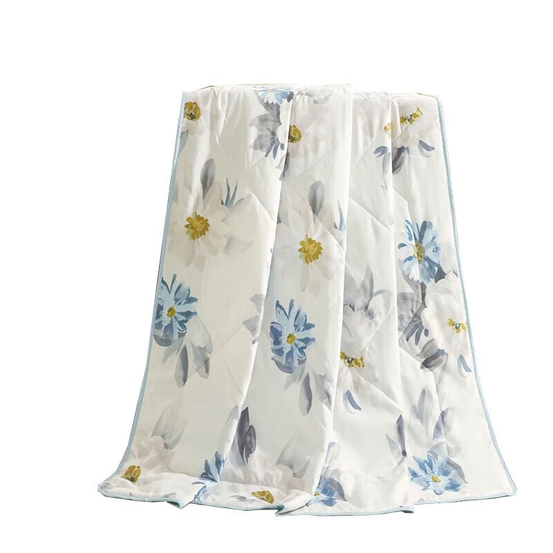 

Mengjie Washed Antibacterial Summer Quilt