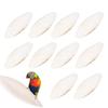 10Pcs/set Bird Cuttlebone Bone Natural Parrots Birds Beaks Cuttlefish Bone Chew Toy For Beak Calcium Cuttlebone