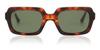 Taylor Morris Sidney C2 Unisex Sunglasses