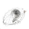 Brangdy Foldable Aluminum Fishing Landing Net Head