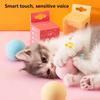Katzen Trainingsspielzeug Haustier Spielball Haustier Quietschzubehör Intelligente Katzenspielzeuge Interaktiver Ball Katzenminze Kätzchen Katzenprodukte Spielzeug für Katzen