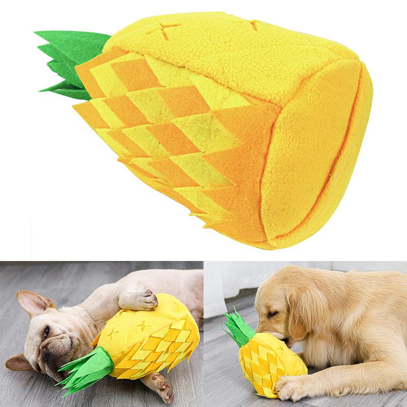 dog pineapple toy