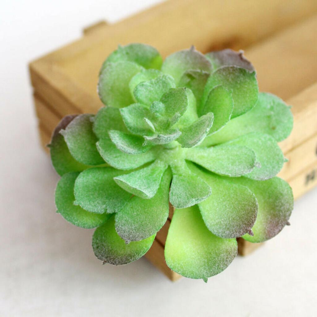 5pcs Mini Artificial Succulents Plant Fake Cactus Garden Home Office Decor Sets