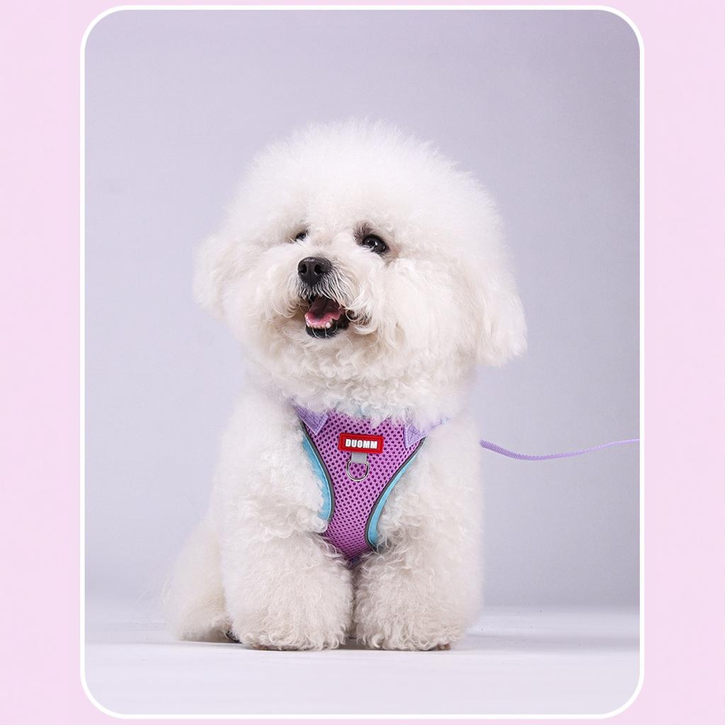 wanheart and Leash Set Escape-Proof Adjustable Leash and Combo Suitable for All Breeds