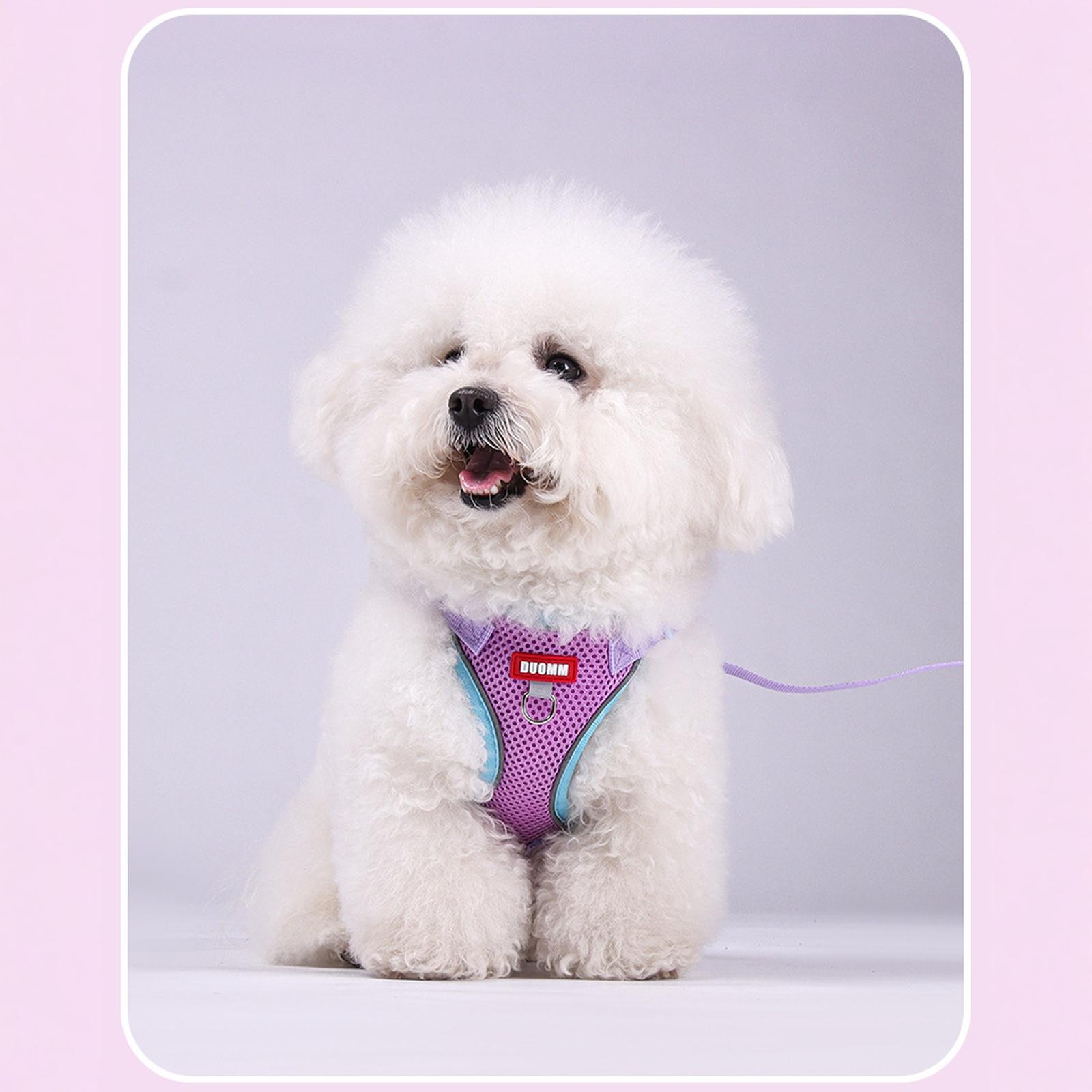wanheart and Leash Set Escape-Proof Adjustable Leash and Combo Suitable for All Breeds S