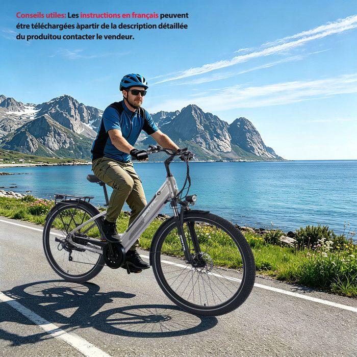 SPATIAL Vélo électrique 29" Argent-Moteur 600W- Batterie 48V12Ah- Shimano 7 Vitesses - VTT Ville E-Bike - Autonomie 100 km