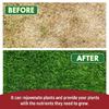 Gardening Slow Release Tablets Organic Fertilizers Strong Root for Garden