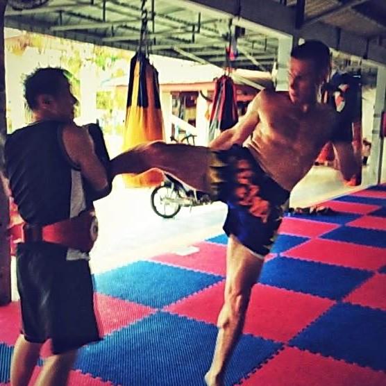 Clover Muay Thai Kickboxing Boxing MMA UFC Casual Shorts Gym Sport Unisex Men Women Workout Quick Dry Print Elastic High Waist Training