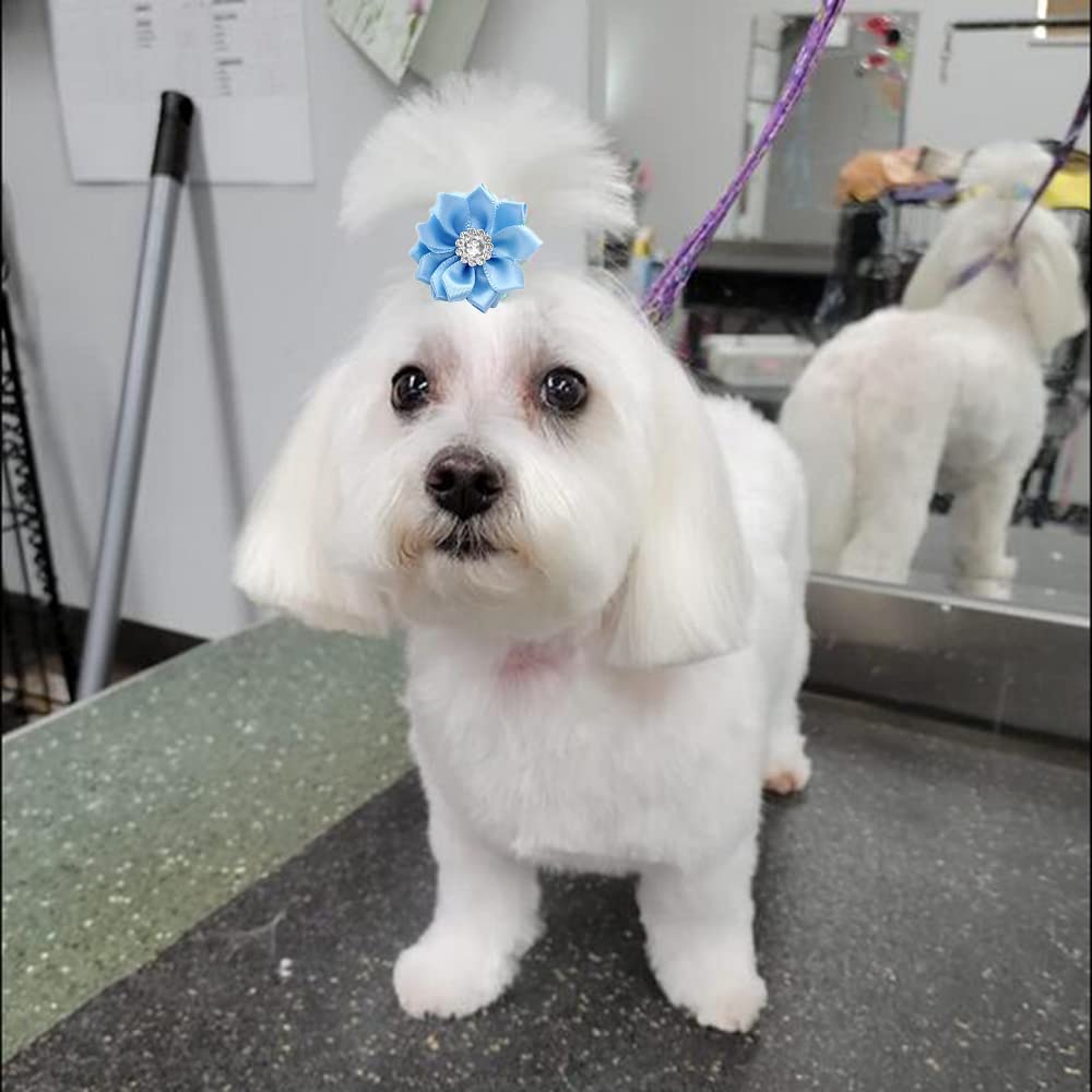 50/100pcs/lot Pet Dog Hair Bows Rubber Bands Petal Flowers Bows with Pearls Pet Dog Grooming Bows Dog Hair Accessories Product