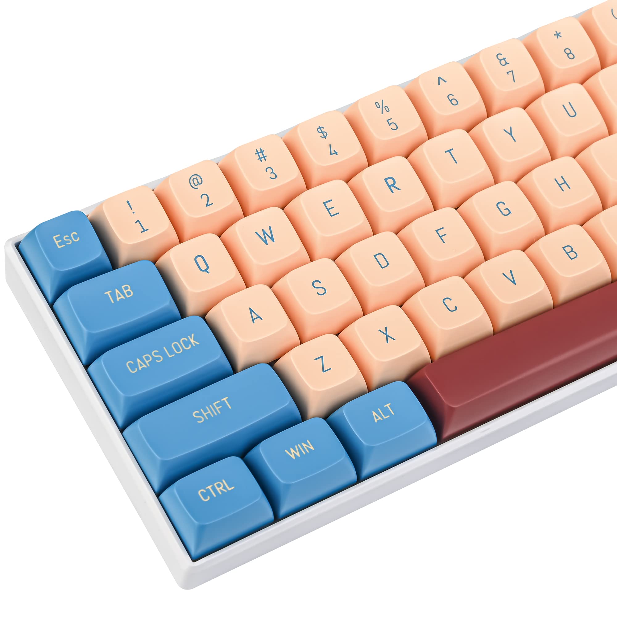 

Palace CSA Custom 160 Key Double Shot Keycap Set for MX Switch Gaming Mechanical Keyboard Keycaps, Cherry/Gateron 60%/64/GK61