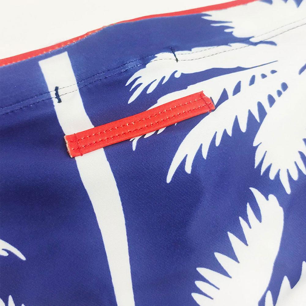 Men's  Fashion Strips Sexy Men's Brief Sexy Printed Swimsuit for Men Surfing Swimwear Low-Rise