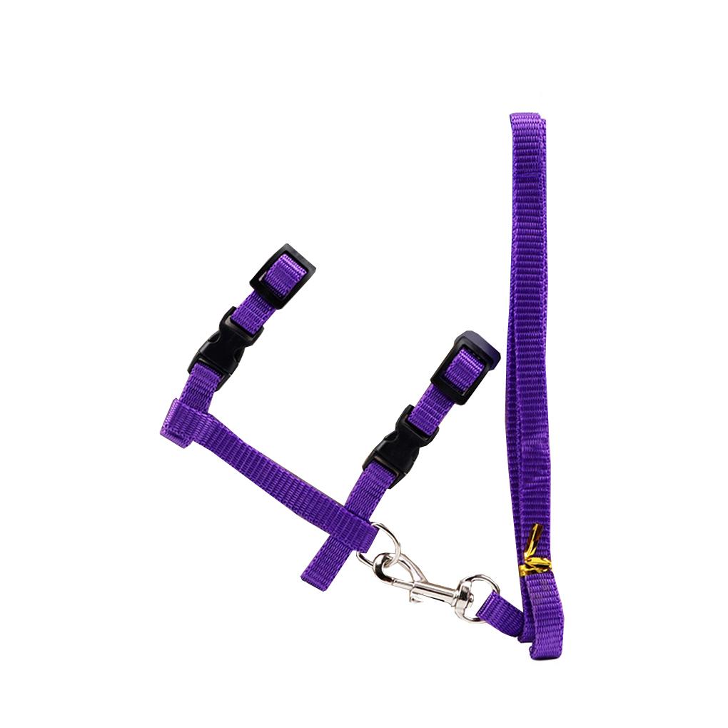 

Поводок для выгула домашних животных, однотонный, регулируемый ошейник, гибкий шнурок для шлейки, аксессуар, предотвращающий побег фиолетовый