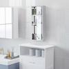 Medicine Cabinet Made of Stainless Steel and Tempered Glass Door Medicine Cabinet for Medication Storage