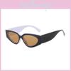 Óculos de Sol com Padrão de Panda em Estilo Geométrico com Lentes AC para Passeios Casuais