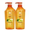 Fenghua Ginger Hair Strengthening & Oil Control Shampoo